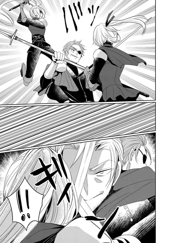 The Black Wolf King and the Silver Sacrificial Princess Chapter 8 - . Page 29